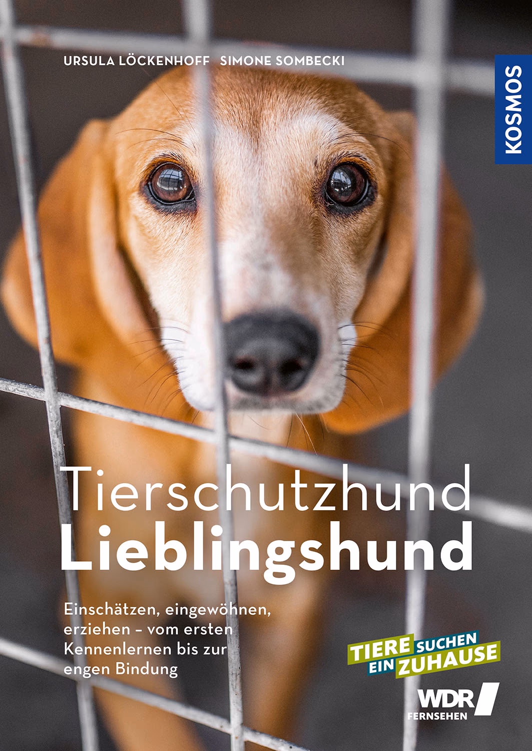 Tierschutzhund Lieblingshund – Buch von Ursula Löckenhoff, Kosmos Verlag
